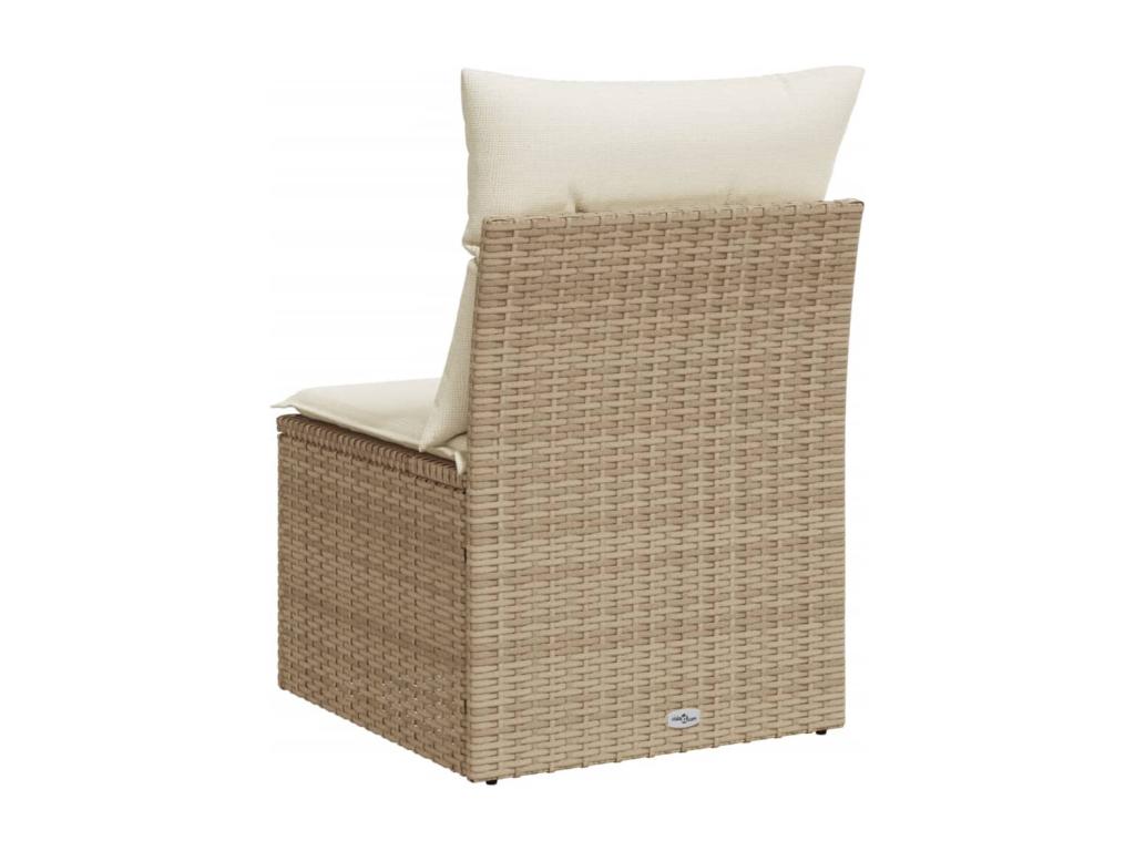 Beige Woven Resin Wicker Sofa
