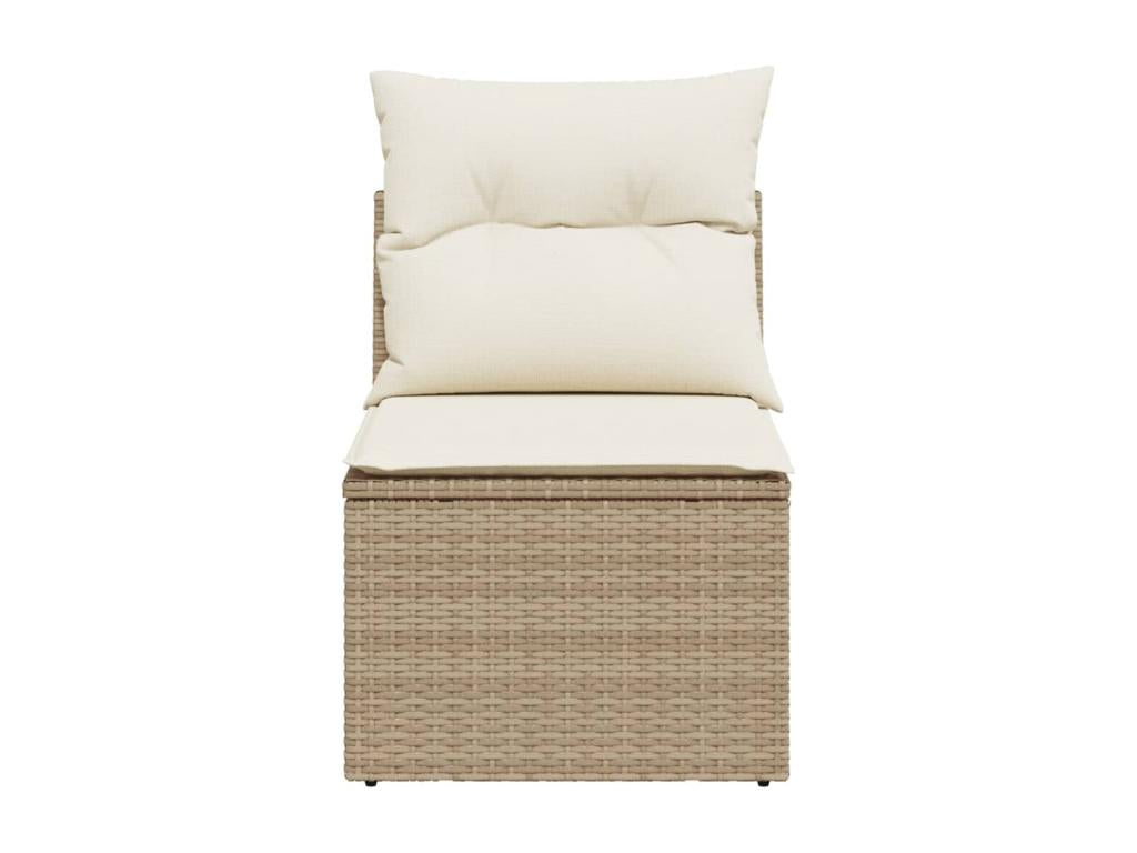 Beige Woven Resin Wicker Sofa