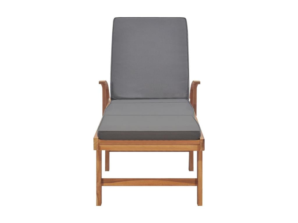 Brown Lounge Chair, 195 x 59.5 x 52.5 cm