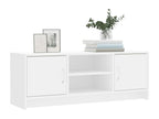 White Engineered Wood TV Stand, 102 x 30 x 37.5 cm